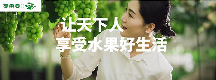 上海品牌战略布局咨询-世邦大通百果园战略专题分享