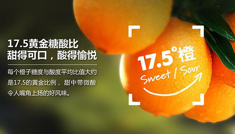 上海广告策划公司建议-食品包装上传递可溯源的重要性