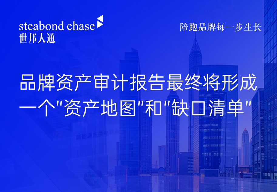 世邦大通对品牌资产审计报告的重点工作说明