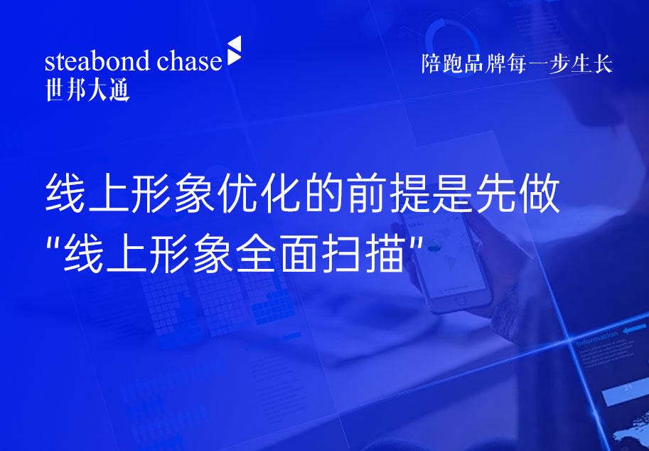 世邦大通“官网品牌形象优化”和“线上形象优化”有什么区别