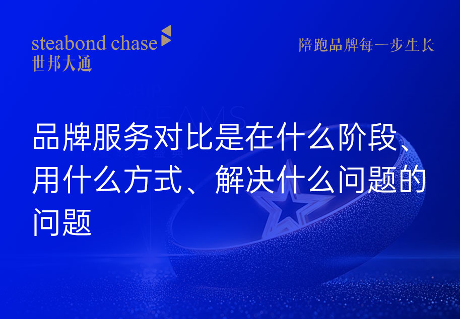 建立专业的品牌服务陪跑团所有成长型企业的必经之痛