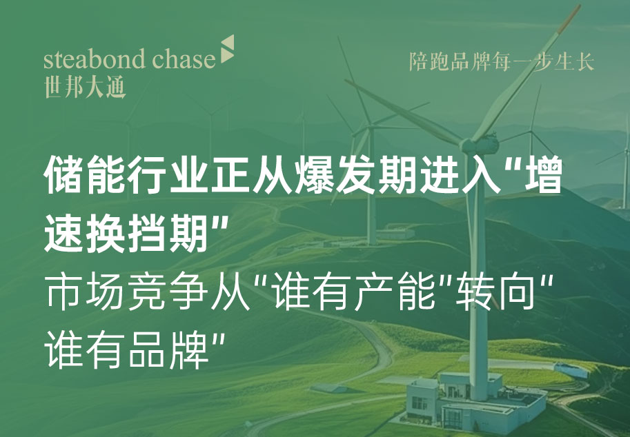 上海世邦大通储能企业品牌战略咨询